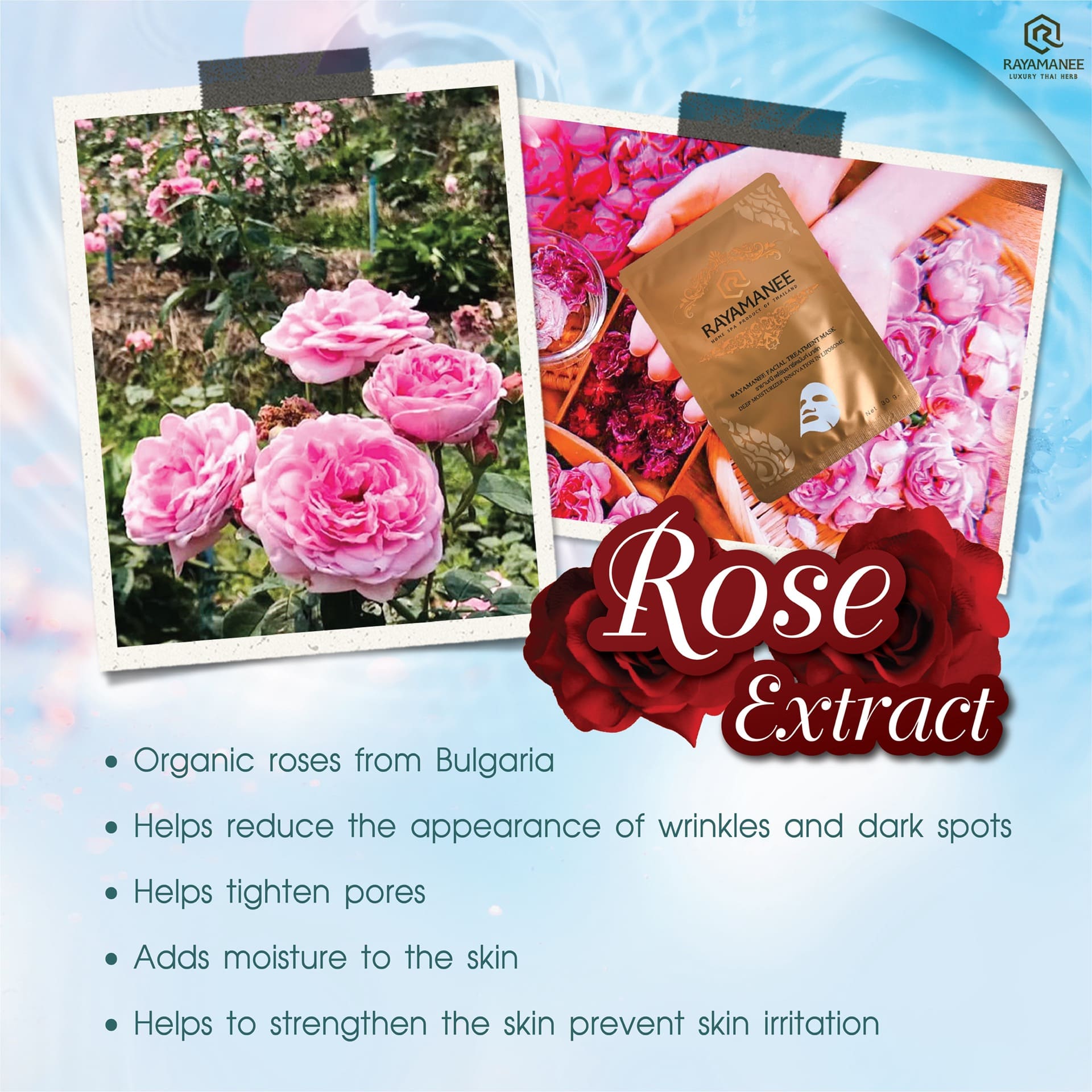 Facial Mask ENG-02